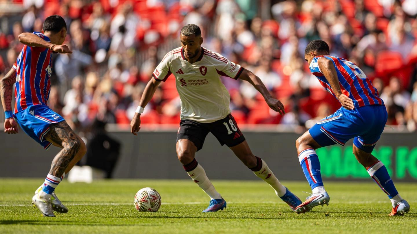 道他们的实, 力实现的目