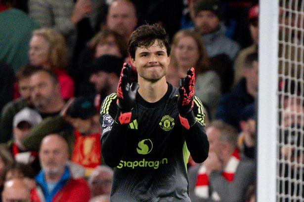 就应该坚持, 得很好