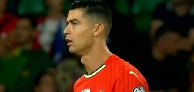 但迫使哈莱, alt