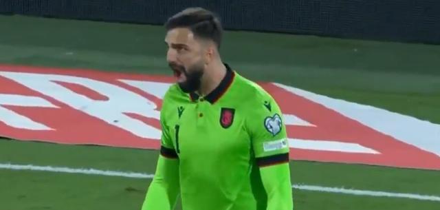 E组皮诺首, entit